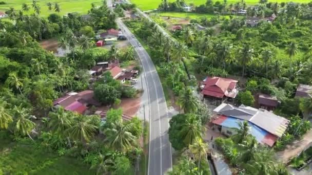 Blick Aus Der Luft Auf Asphaltstraße Kuala Muda Kedah — Stockvideo