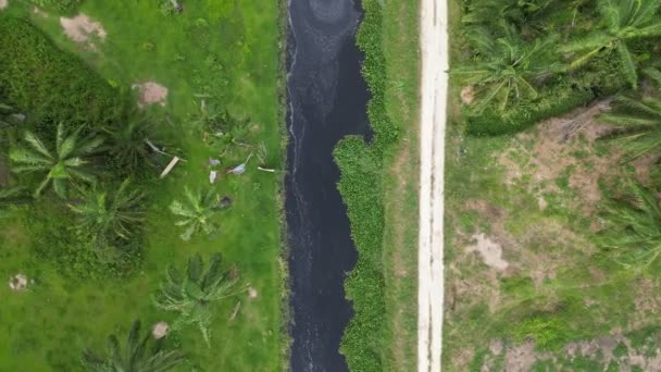 空中からの活気に満ちた緑の風景を流れるダークな汚染の川 — ストック動画