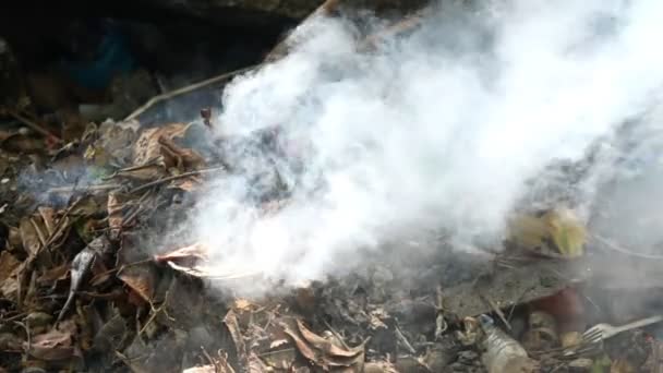 Slow Motion Smoke Rising Burning Pile Wood — Stock Video
