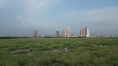 Arkaplan olarak yüksek binaları olan yeşil arazi sulak.