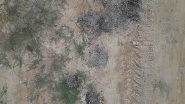 Aerial View Dirt Field Cow Shit Grass — 비디오
