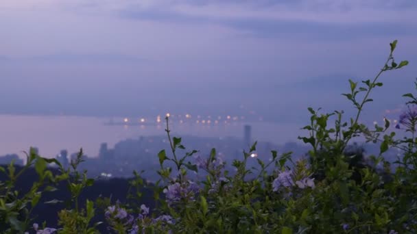 Panning Rechts Paarse Bloem Met Achtergrond Uitzicht Georgetown Penang Vanaf — Stockvideo