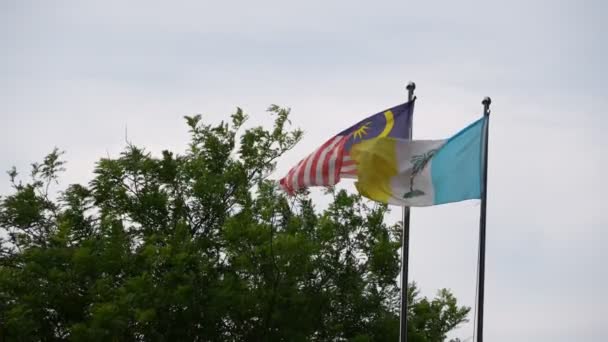 马来西亚和槟城的国旗缓缓飘扬在风景秀丽的树前 — 图库视频影像