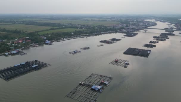 Aerial Kelong Fischfarm Sungai Kurau Morgen — Stockvideo