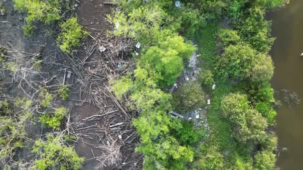 Nešťastný Pohled Odpadky Znečišťující Les Stromů Shora — Stock video