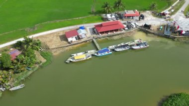Kampung Terus, Penang, Malezya - 11 Haziran 2023: Nehir gezisi için yolcu taşımak üzere eko turizm tekneleri yakınındaki hava harekatı