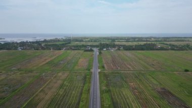 Uçsuz bucaksız bir çeltik tarlasını kesen bir yolun havadan görüntüsü.