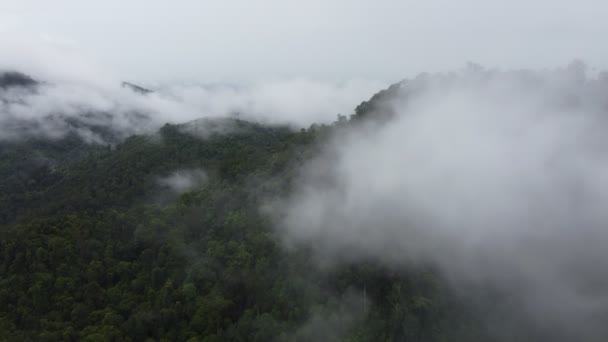 Majestueuze Berg Overspoeld Door Mist Wolken — Stockvideo