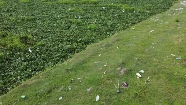 草の向こうに散らばったゴミがついた野原 — ストック動画