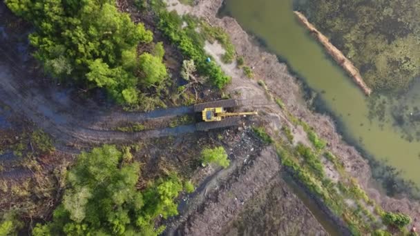 Excavatrice Utilisée Pour Défrichement Des Terres Dans Une Forêt Luxuriante — Video