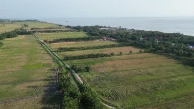 Perak, Ban Pecah 'ta deniz kenarındaki bir çeltik tarlasının havadan görünüşü.