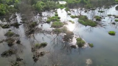 Sulak arazinin yakınındaki kuru ağaç gölünde gökyüzü bulutunun havada kayan yansıması.