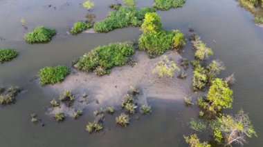 Kuş bakışı, bir zamanlar el değmemiş bir su ortamındaki iç karartıcı kirliliği ortaya çıkarır..