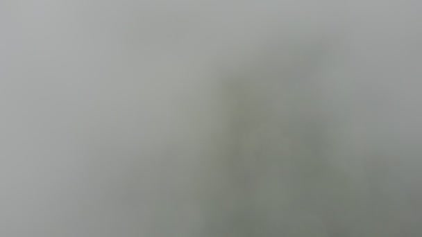 Adembenemend Uitzicht Een Weelderig Bos Omhuld Door Mystieke Wolken — Stockvideo