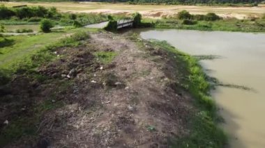 Huzurlu bir alanda çamurlu bir nehri geçen bir köprü.