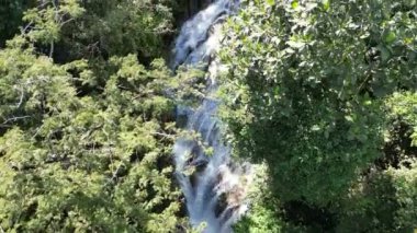 Orman yeşillikleri arasında su akarken ve dans ederken doğanın dinginliği sergileniyor..