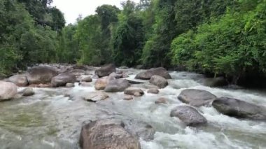 Huzur verici ve huzurlu bir su manzarası ormanın kalbinde zarafetle akıyor..