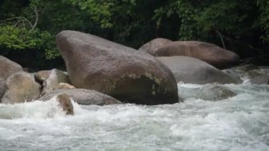 Nehir taşları üzerinde akan ve dans eden büyüleyici bir su manzarası.