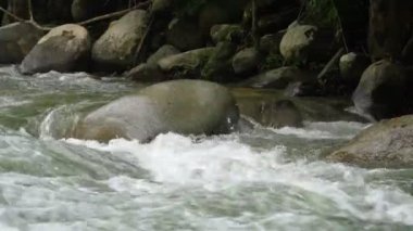 Su akışkanlığının dinamik kontrastı nehir kayalarının sabit varlığına karşı.