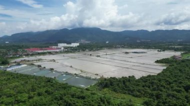 Su mevsiminde çeltik tarlasının havadan görünüşü