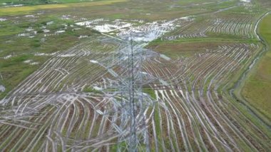 Resimli çeltik tarlası manzarasındaki elektrik kulelerinin kuş bakışı görüntüsü