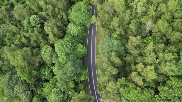 조밀한 길쌈하는 아스팔트 도로의 아름다움을 포착하는 — 비디오