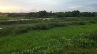 Yeşil çayırlarla sulak arazide ilerliyoruz..