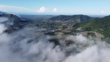 Alçak bulutlar tarafından kucaklanan bir yamaçtaki kauçuk plantasyonunun rüya gibi kalitesini gösteren hava sahnesi..