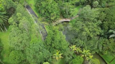 Ahşap bir köprünün huzurlu güzelliği botanik bahçesinden incelikle geçiyor.