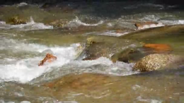 Στενή Προοπτική Που Αναδεικνύει Την Ευαίσθητη Ισορροπία Νερού Και Βράχων — Αρχείο Βίντεο