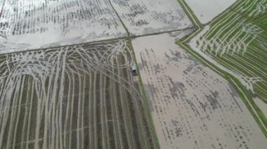 Su mevsiminde çeltik tarlasında traktöre doğru havadan hareket