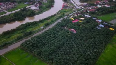 İçinden nehir akan yemyeşil bir alan. Nehir evler ve binalarla çevrilidir. Hava manzaralı Bandar Baharu, Kedah