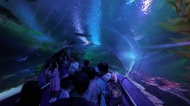 Bukit Bintang, Kuala Lumpur, Malezya - 15 Aralık 2024: Bir grup insan Aquaria KLCC 'de balık yüzüşünü izliyor