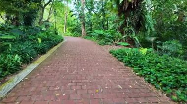Singapore - Jul 10 2024: A brick walkway with plants growing on the sides. The walkway is red and has a yellow border