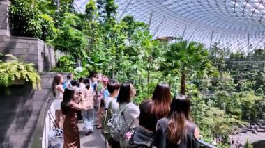 Changi, Singapore - Jul 16 2024: A group of people are walking through Rain Vortex