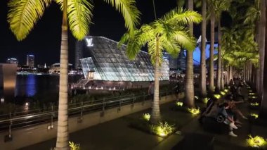 Marina Bay, Singapore - Jul 09 2024: Move over palm trees and Louis Vuitton building at Marina Bay Sand