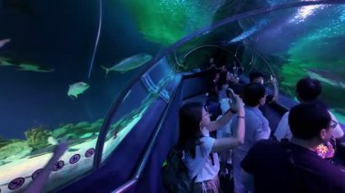 Bukit Bintang, Kuala Lumpur, Malaysia - Dec 15 2024: Tourists are gathered around aquarium tunnel, admiring the colorful fish swimming inside at Aquaria KLCC