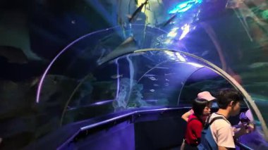 Bukit Bintang, Kuala Lumpur, Malaysia - Dec 15 2024: Group of people are in a tunnel with a shark exhibit at Aquaria KLCC