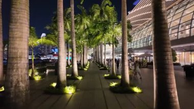 Marina Sand, Singapore - Jul 17 2024: A walkway with palm trees lit up at night. There are people walking on the walkway at Marina Bay Sands