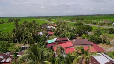 Kampung Kangkong, Kedah, Malaysia - Jan 08 2024: A view of a rural area with palm trees and houses. The houses are spread out and there are no people visible