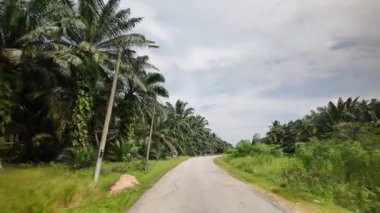 Batu Pahat, Johor, Malaysia - May 31 2024: A road with palm trees on both sides.