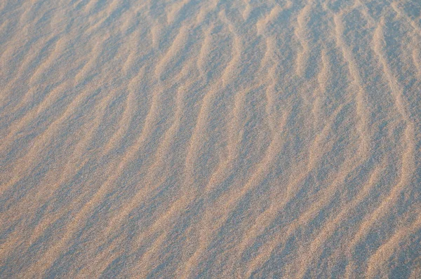 여름철에 해변에서 모래를 — 스톡 사진