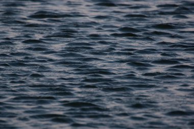 Denizde güzel mavi dalga, doğa arkaplanı.