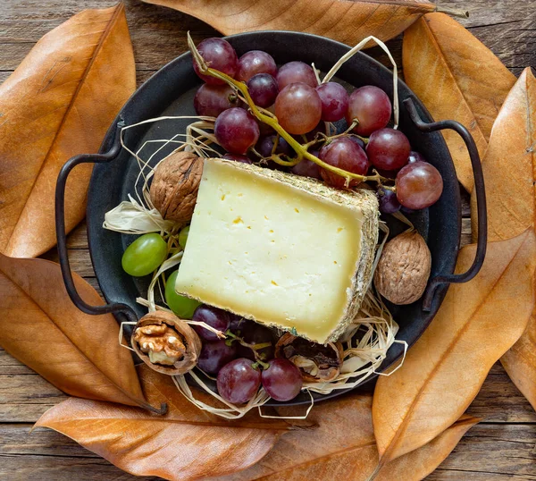 黒ブドウの秋の背景に山干し草のペコリーノチーズのスライス — ストック写真