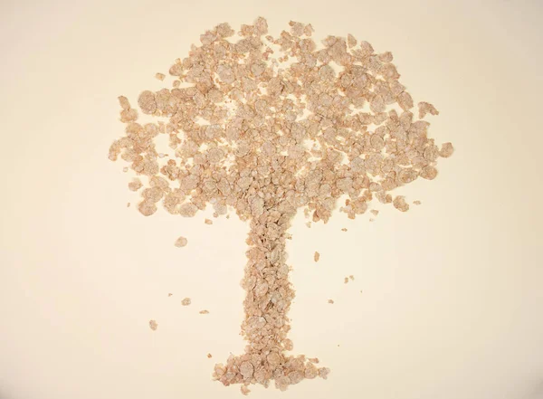 Árvore Formada Com Cereal Ogm Como Conceito Conservação Natureza Meio — Fotografia de Stock