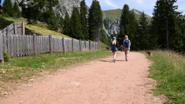 이탈리아 메라노 2023년 메라노 2000의 산에서 여름에 정의되지 사람들이 아디게의 — 비디오