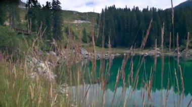 Val d 'Ega' daki Carezza Alp Gölü - Bolzano - Güney Tyrol - İtalya