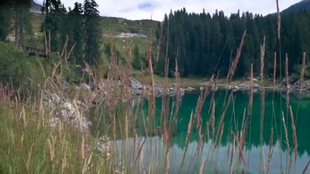 Alpské Jezero Carezza Val Ega Bolzano Jižní Tyrolsko Itálie — Stock video