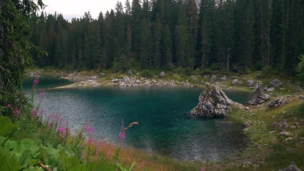 Αλπική Λίμνη Carezza Στο Val Ega Bolzano Νότιο Τιρόλο Ιταλία — Αρχείο Βίντεο