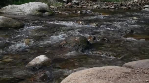 Zijrivier Van Passirio Met Stromend Water Lana Italië — Stockvideo